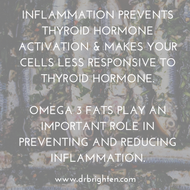 What to Eat for Thyroid Health + One Day Thyroid Foods Meal Plan Dr. Jolene Brighten