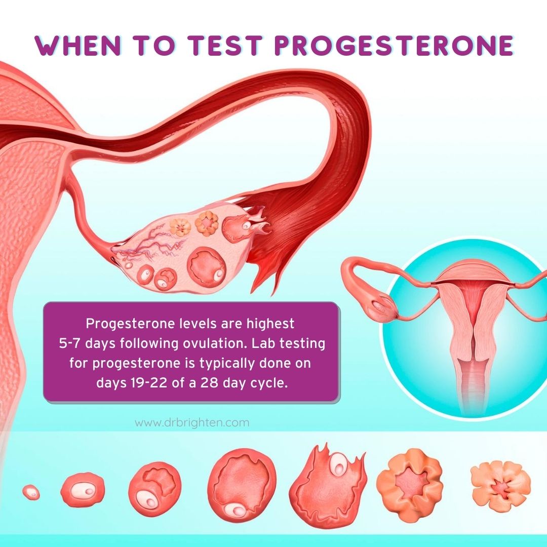 When Is the Best Time to Test Hormone Levels? Dr. Jolene Brighten