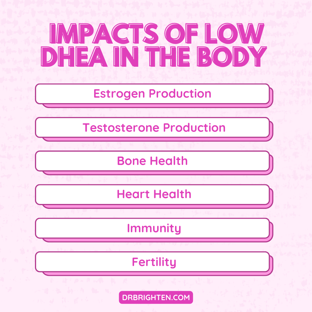 What Does DHEA Do And When Should You Take It Dr. Jolene Brighten