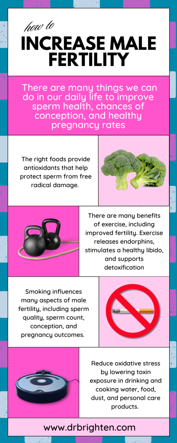 4 Simple Ways to Increase Male Fertility Dr. Jolene Brighten