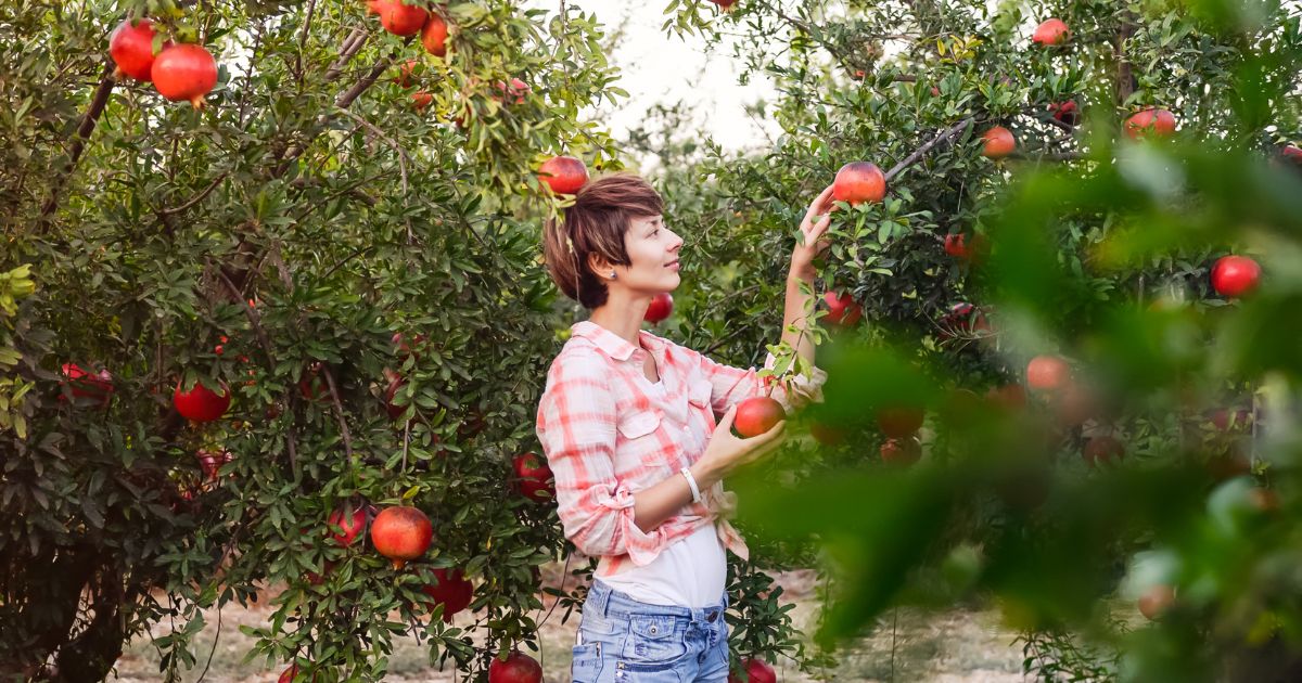 foods high in polyphenols