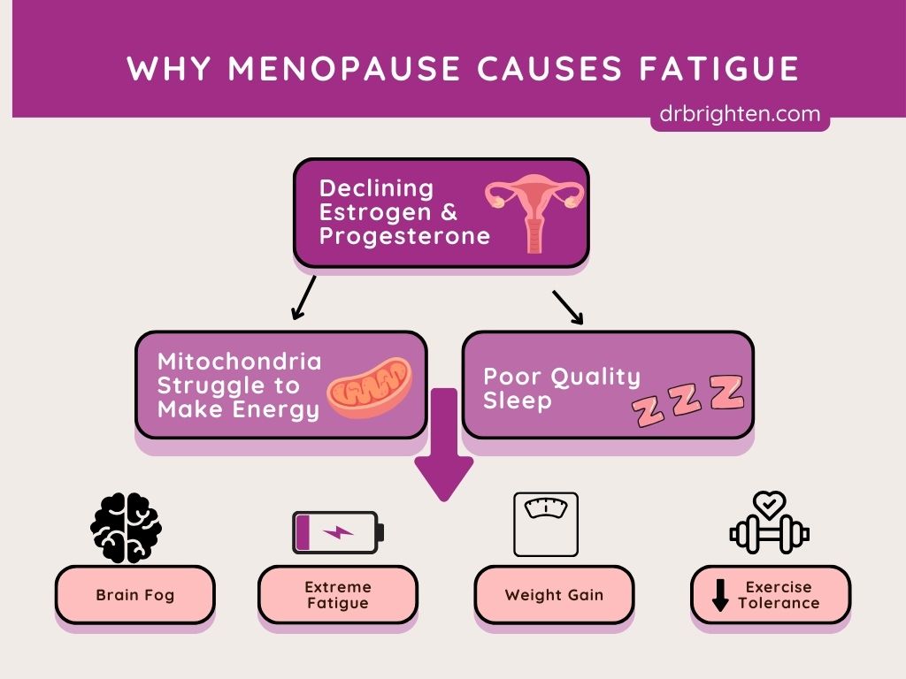 menopause and exhaustion