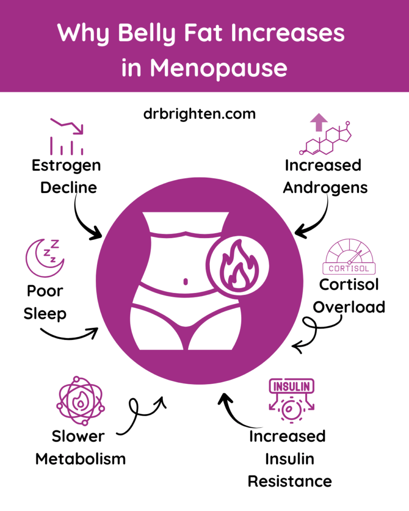 belly fat from menopause