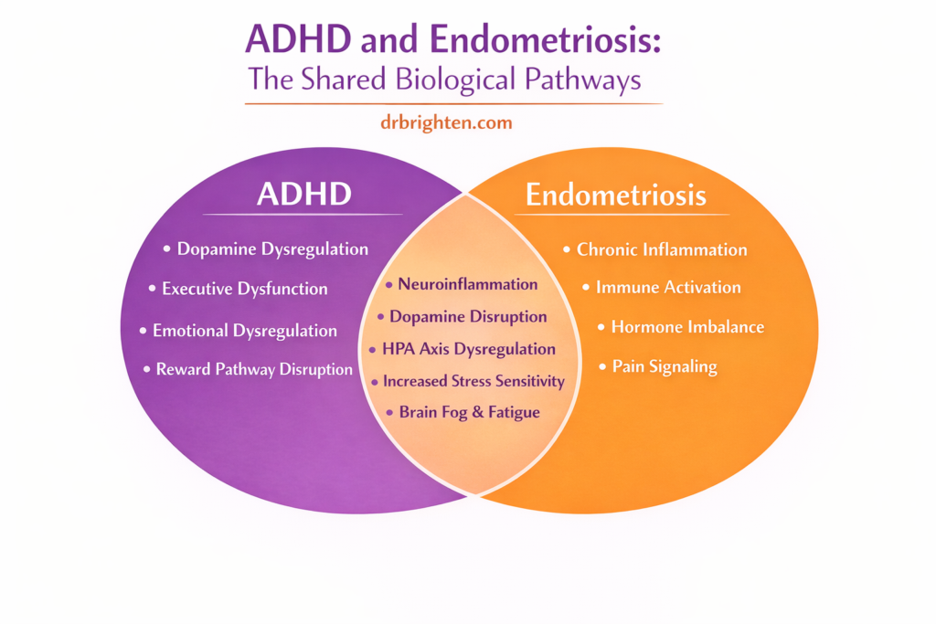 link between adhd and endometriosis