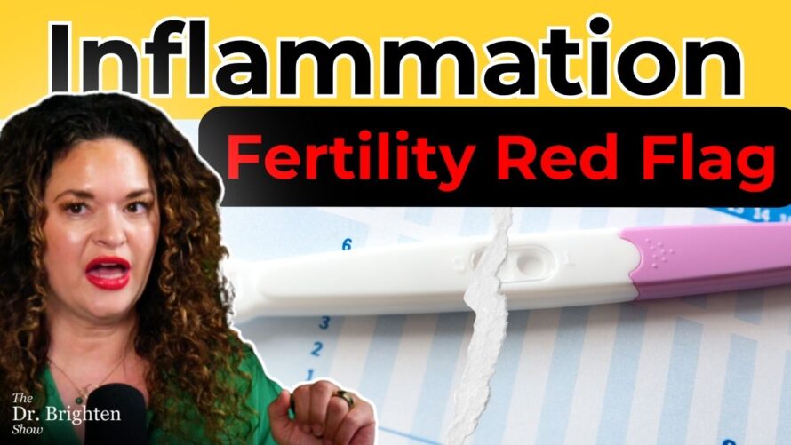 Fertility Inflammation Dr. Brighten